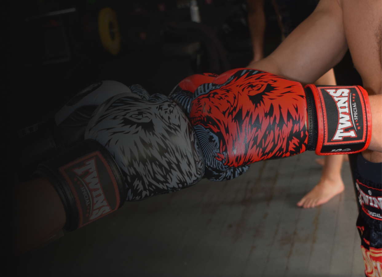 The Ultimate Guide to Choosing Boxing Gloves for Every Skill Level