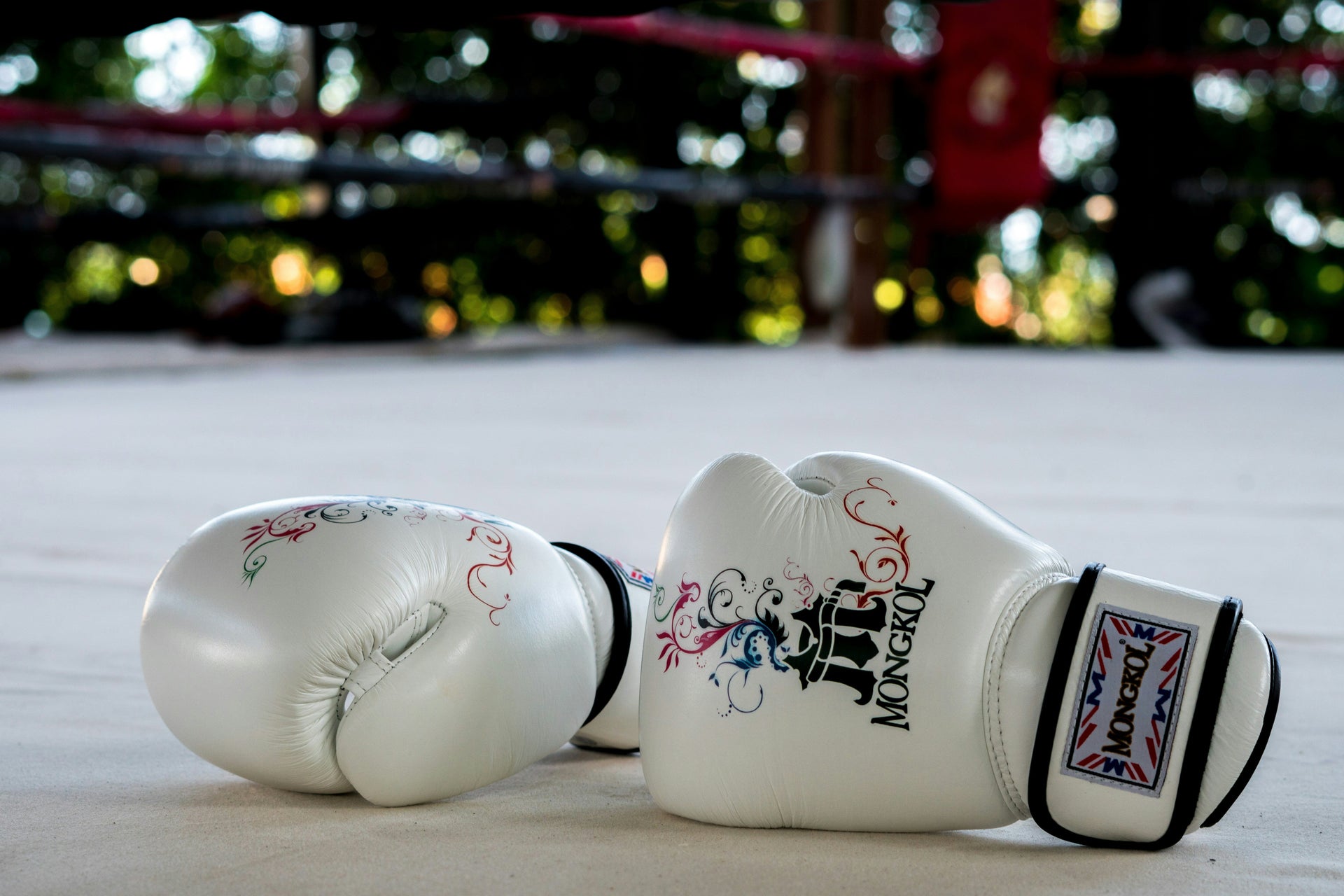 Mongkol Gloves - credit Antonio Araujo