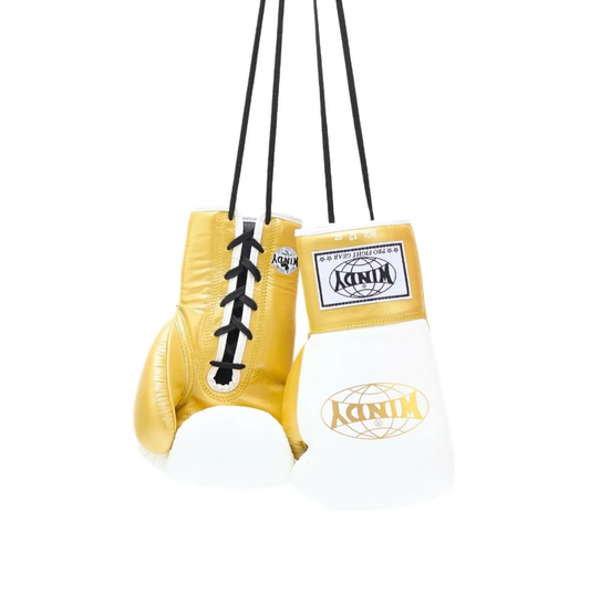 Twins Special Lace-Up Boxing Gloves BGLL1-2T Black/Grey