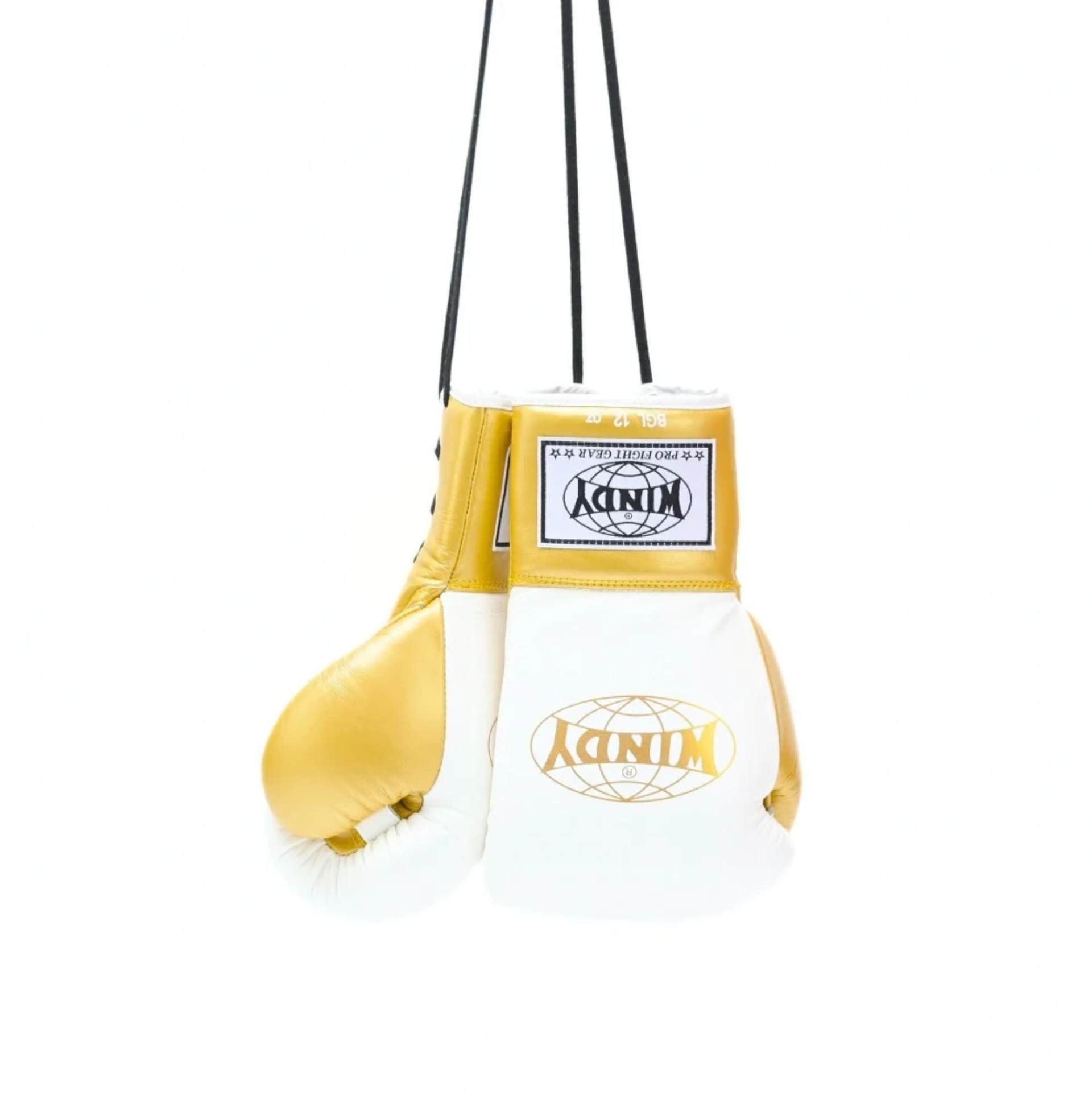 Twins Special Lace-Up Boxing Gloves BGLL1-2T Black/Grey