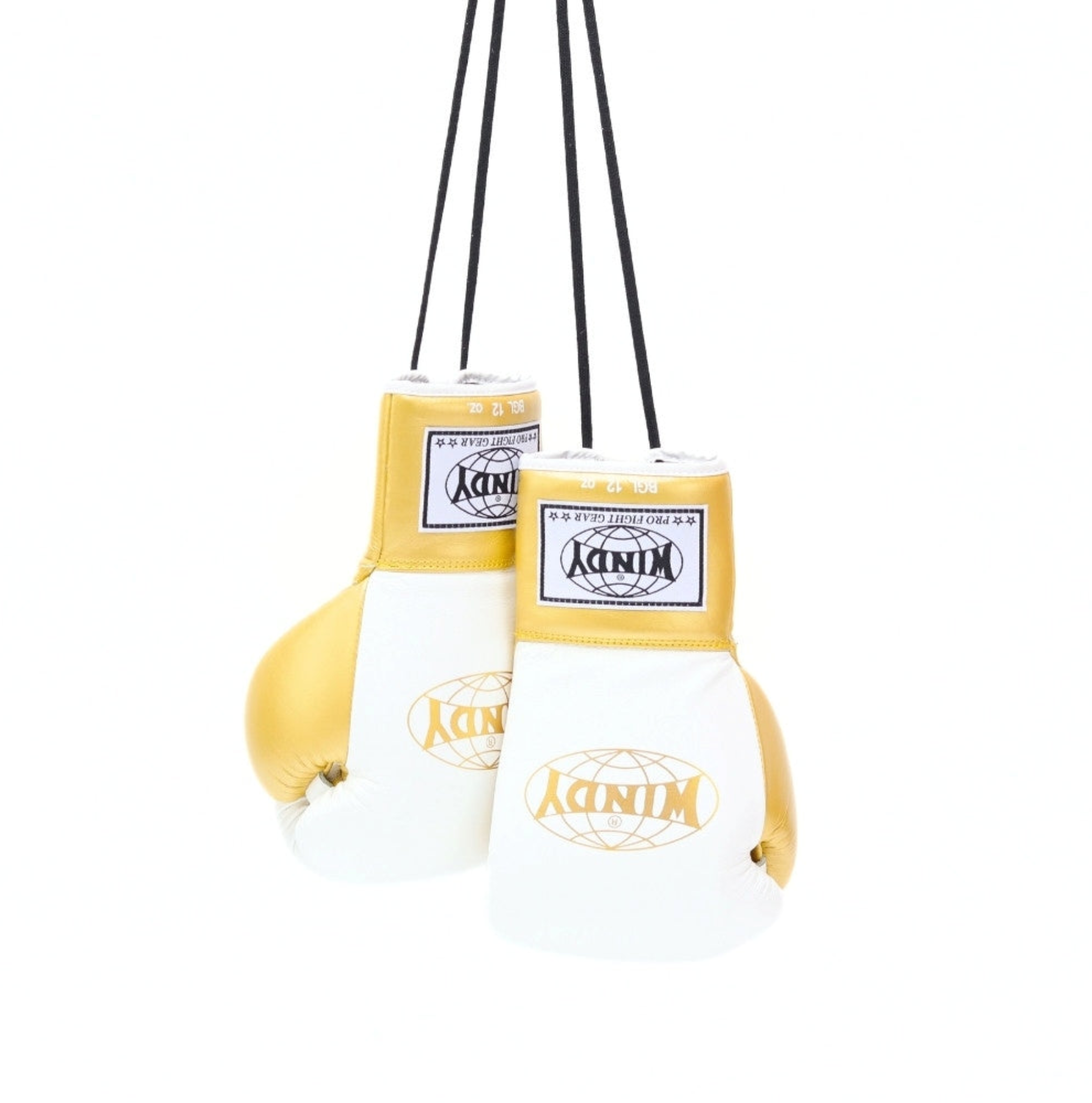Twins Special Lace-Up Boxing Gloves BGLL1-2T Black/Grey