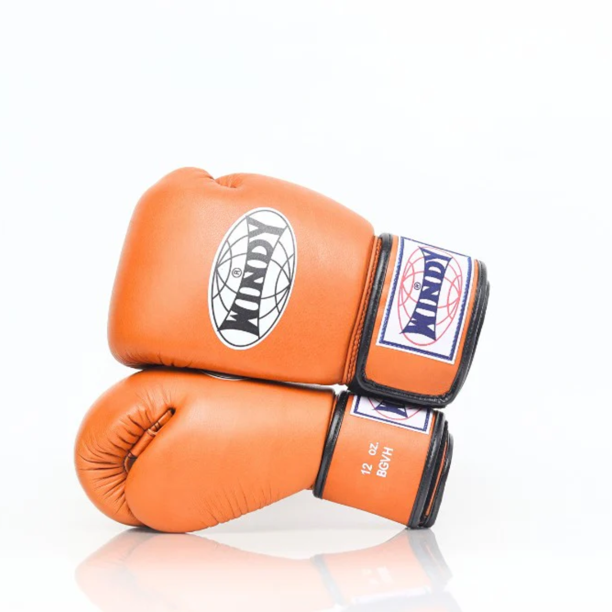 Windy Boxing Gloves BGVH Brown