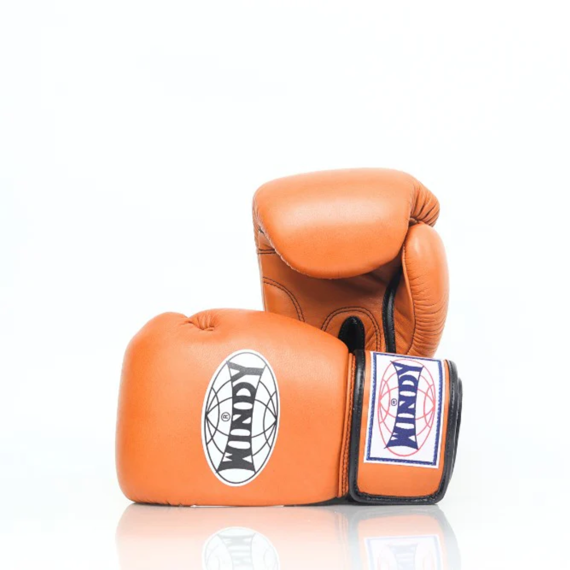 Windy Boxing Gloves BGVH Brown