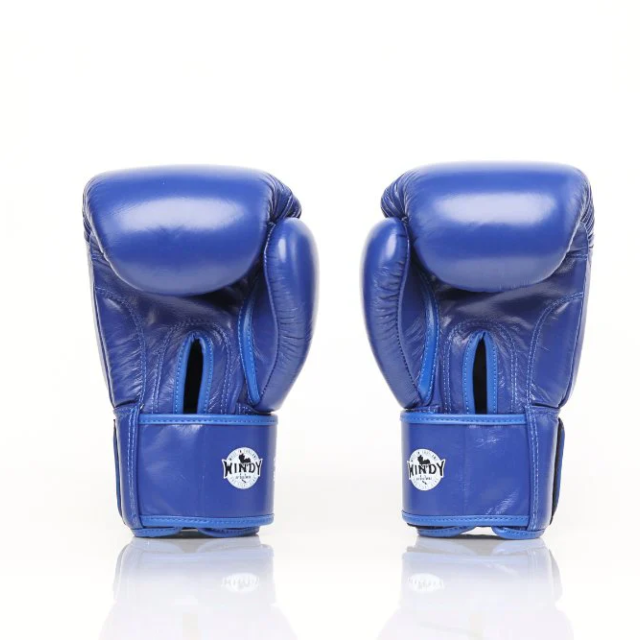 Windy Boxing Gloves BGVH Olive Blue