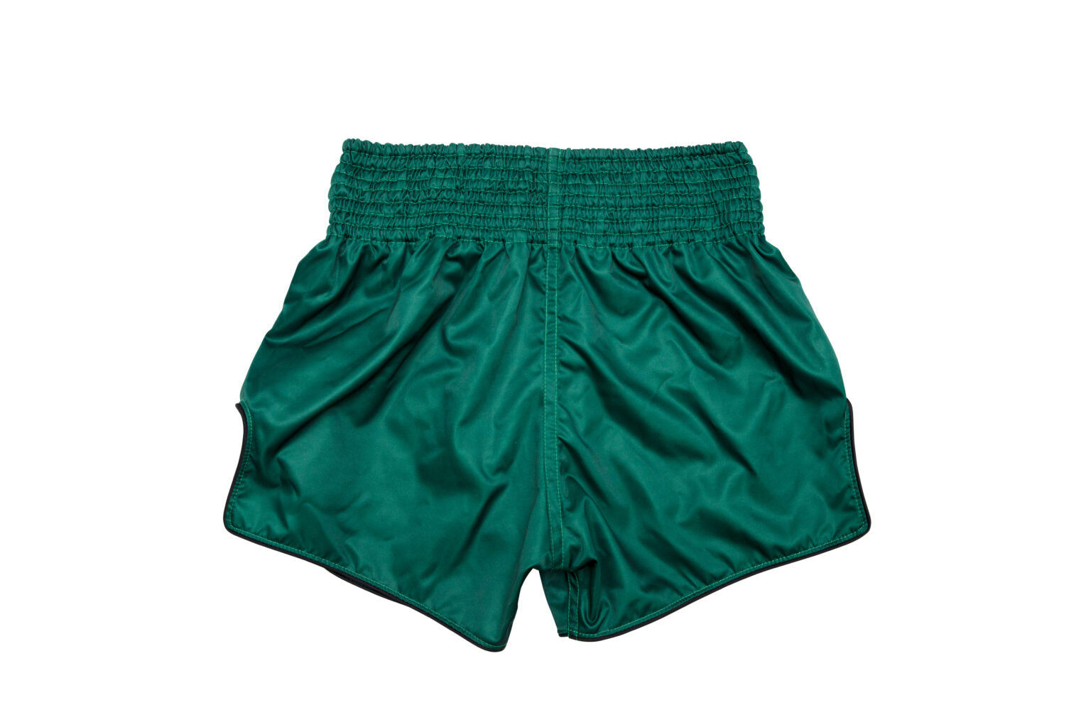 FAIRTEX - Muay Thai Shorts (BS1913)