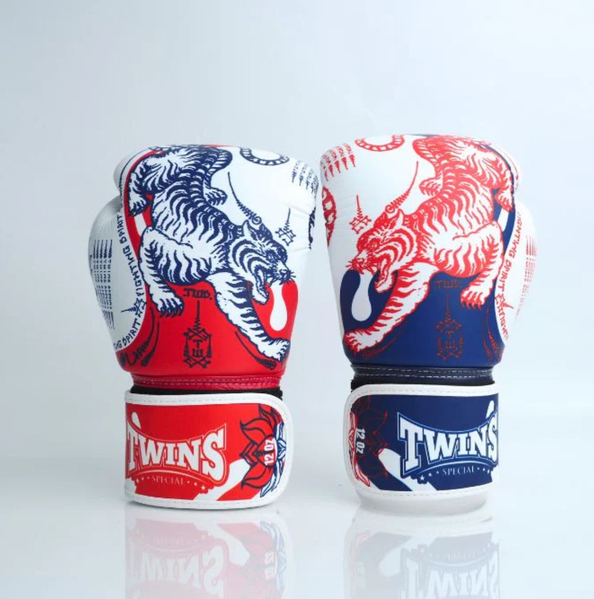Twins Special Boxing Gloves FBGVL4-67 Sak Yant