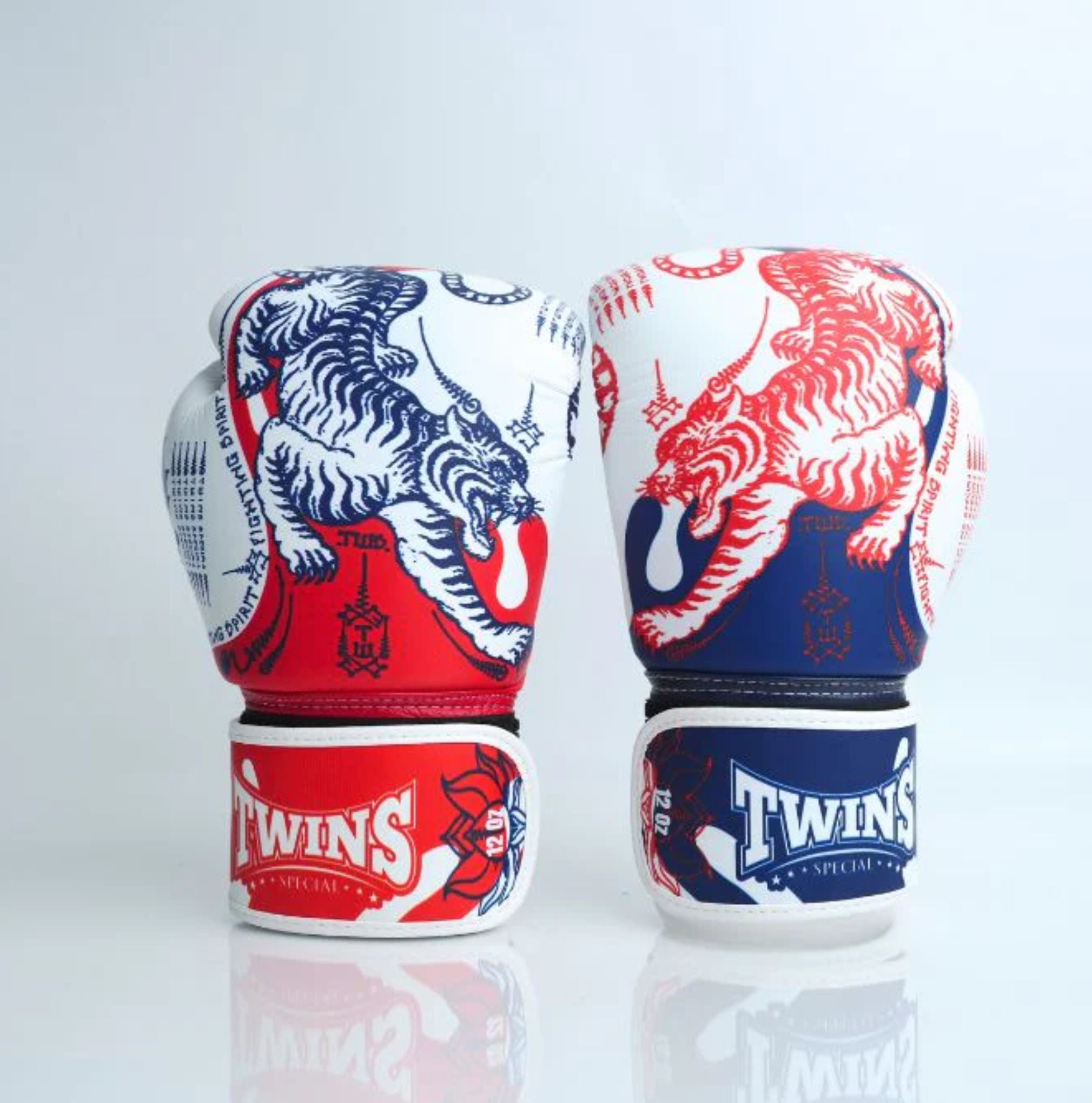Twins Special Boxing Gloves FBGVL4-67 Sak Yant