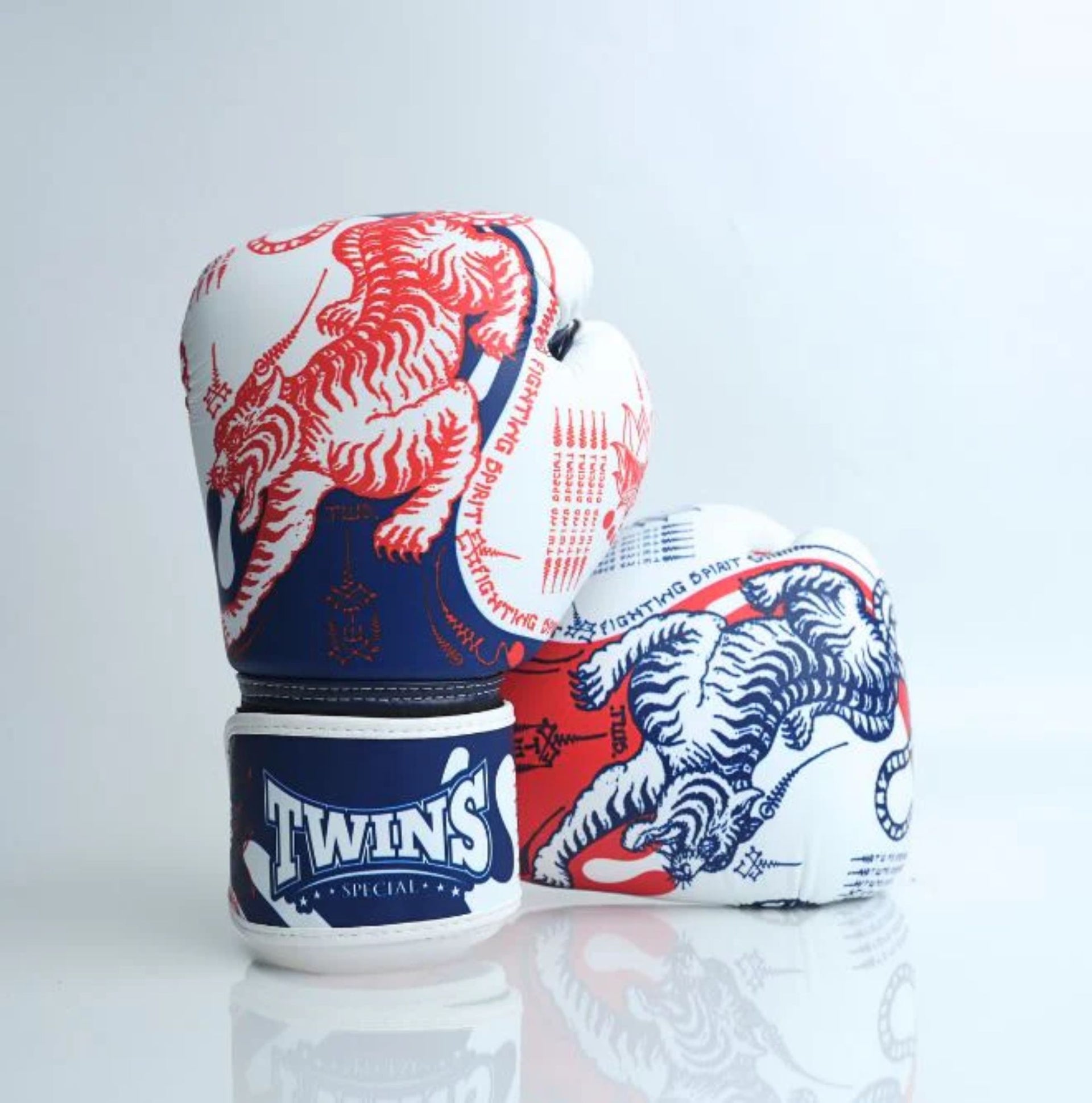 Twins Special Boxing Gloves FBGVL4-67 Sak Yant